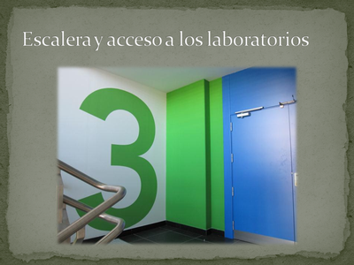 Escalera y acceso a los laboratorios