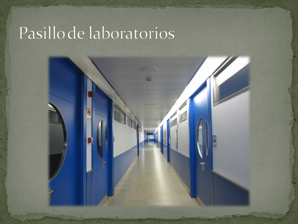 Pasillo de laboratorios