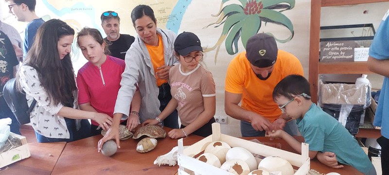 AVENTURA SENSORIAL: HUEVOS, CORNAMENTAS Y CAPARAZONES DE ANIMALES DE VERDAD