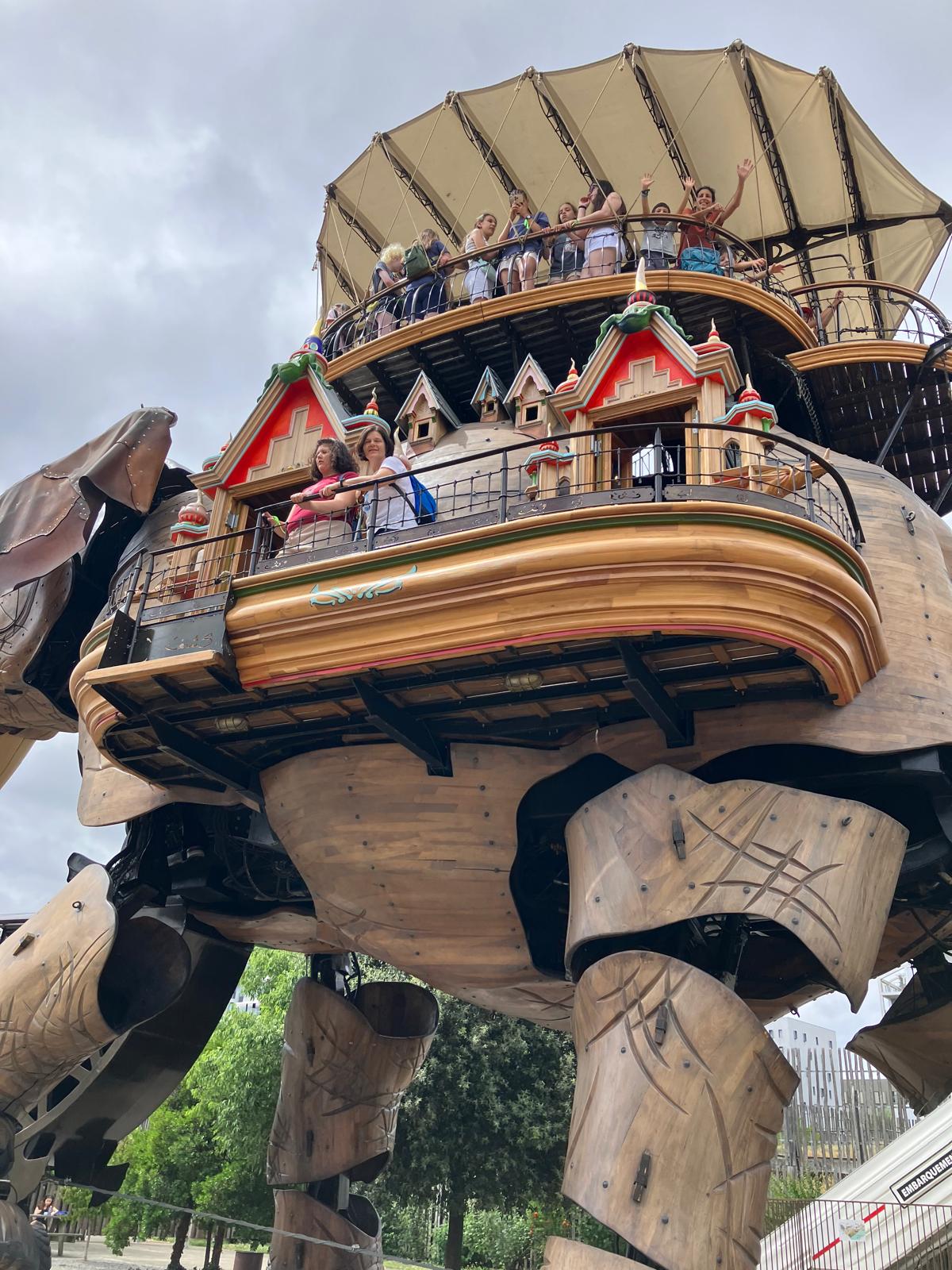 Nuestros estudiantes subidos al elefante