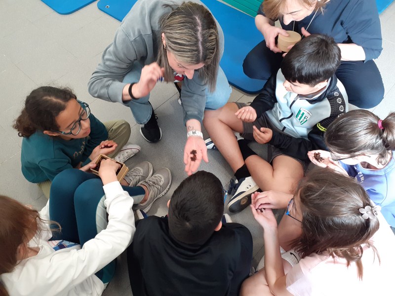 RECONOCIMIENTO DE INGREDIENTES DE LAS INDIAS