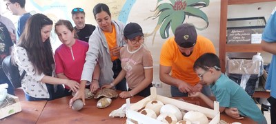 AVENTURA SENSORIAL: HUEVOS, CORNAMENTAS Y CAPARAZONES DE ANIMALES DE VERDAD