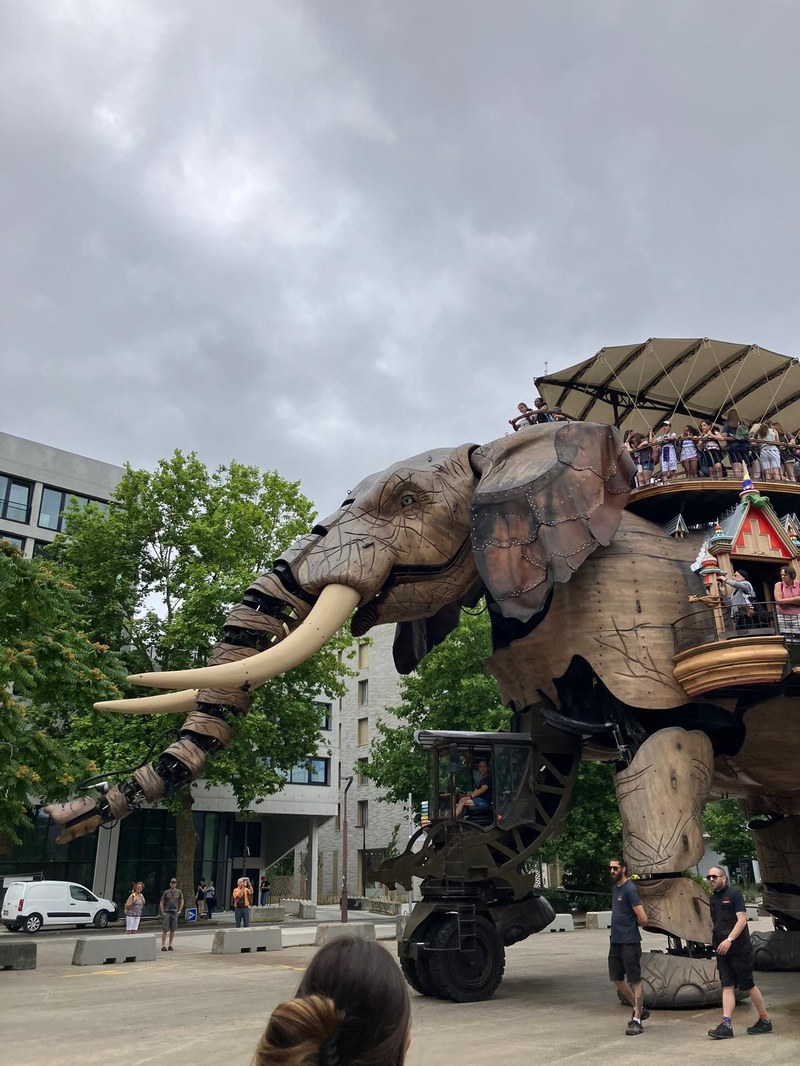 Elefante mecánico