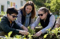 Alumnado realizando actividades en un huerto urbano