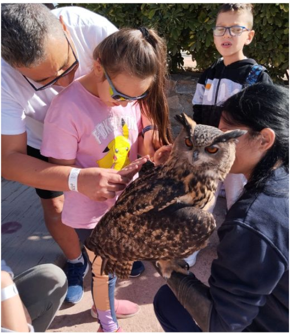 Niña interactuando con un búho